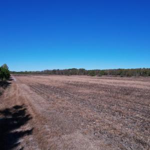 Photo #8 of 53.86 Acres-TBD Pate Rd, Bishopville, SC 53.9 acres