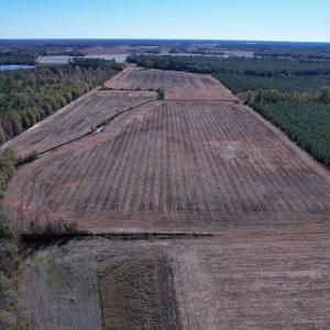 Photo #5 of 53.86 Acres-TBD Pate Rd, Bishopville, SC 53.9 acres