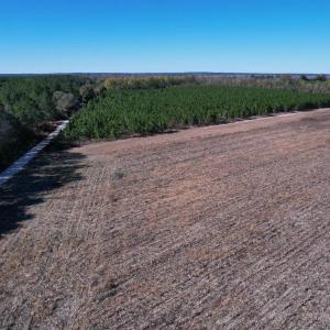 Photo #10 of 53.86 Acres-TBD Pate Rd, Bishopville, SC 53.9 acres