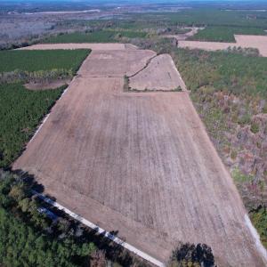 Photo #3 of 53.86 Acres-TBD Pate Rd, Bishopville, SC 53.9 acres