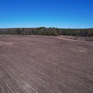 Photo #14 of 53.86 Acres-TBD Pate Rd, Bishopville, SC 53.9 acres