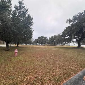 Surrounding community featuring a yard