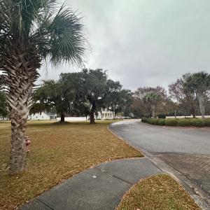 View of asphalt road featuring curbs