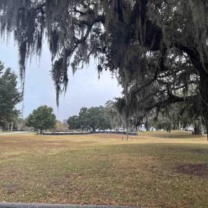 Surrounding community featuring a lawn