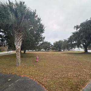 View of home's community with a lawn