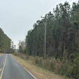 Photo #10 of TBD Highway 746, Loris, SC 90.0 acres