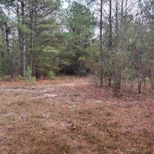 View of wooded area