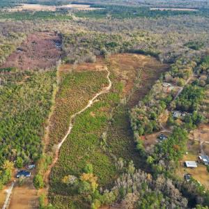 Photo #6 of TBD Old River Rd., Pamplico, SC 77.0 acres