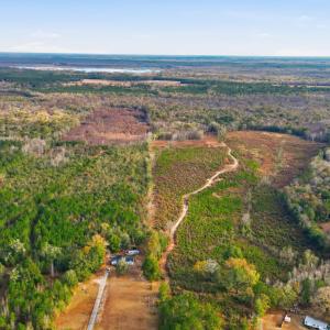 Photo #2 of TBD Old River Rd., Pamplico, SC 77.0 acres