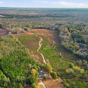 Photo #3 of TBD Old River Rd., Pamplico, SC 77.0 acres