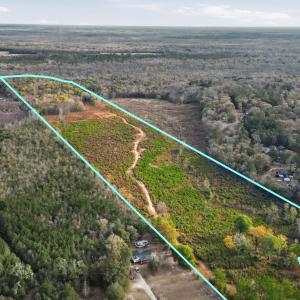 Photo #1 of TBD Old River Rd., Pamplico, SC 77.0 acres