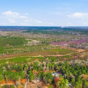 Photo #4 of TBD Old River Rd., Pamplico, SC 86.0 acres