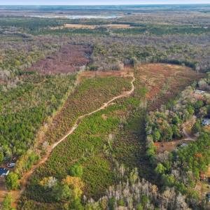 Photo #7 of TBD Old River Rd., Pamplico, SC 86.0 acres