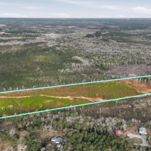 Photo #5 of TBD Old River Rd., Pamplico, SC 86.0 acres