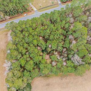Photo #4 of TBD Vox Hwy., Johnsonville, SC 1.8 acres