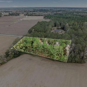 Photo #2 of TBD Vox Hwy., Johnsonville, SC 1.8 acres