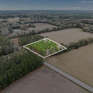 Photo #15 of TBD Vox Hwy., Johnsonville, SC 1.8 acres