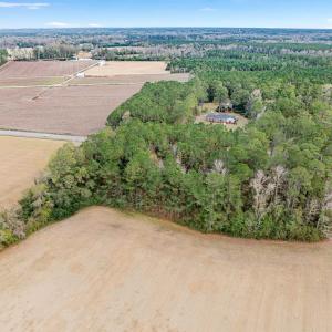 Photo #3 of TBD Vox Hwy., Johnsonville, SC 1.8 acres