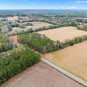 Photo #14 of TBD Vox Hwy., Johnsonville, SC 1.8 acres