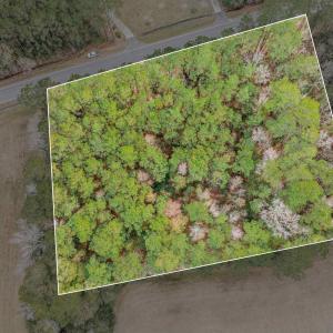 Photo #5 of TBD Vox Hwy., Johnsonville, SC 1.8 acres