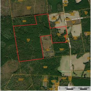Photo #1 of Easler Hwy, Greeleyville, SC 178.0 acres