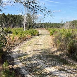 Photo #8 of Easler Hwy, Greeleyville, SC 178.0 acres