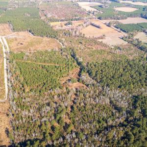 Photo #14 of Easler Hwy, Greeleyville, SC 178.0 acres