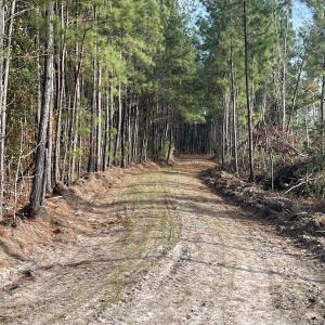 Photo #13 of Easler Hwy, Greeleyville, SC 178.0 acres