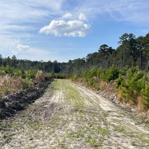Photo #9 of Easler Hwy, Greeleyville, SC 178.0 acres