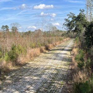 Photo #6 of Easler Hwy, Greeleyville, SC 178.0 acres
