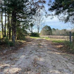 Photo #3 of Easler Hwy, Greeleyville, SC 178.0 acres