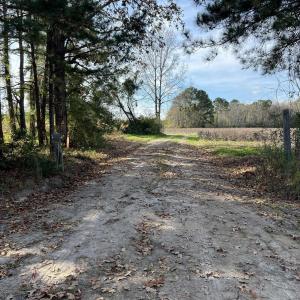 Photo #4 of Easler Hwy, Greeleyville, SC 178.0 acres