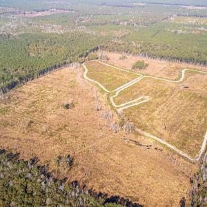 Photo #15 of Easler Hwy, Greeleyville, SC 178.0 acres