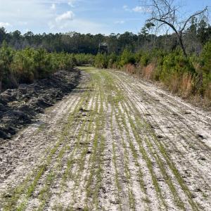 Photo #10 of Easler Hwy, Greeleyville, SC 178.0 acres