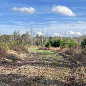 Photo #11 of Easler Hwy, Greeleyville, SC 178.0 acres