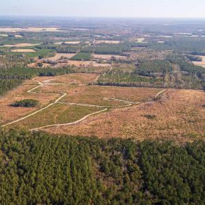 Photo #2 of Easler Hwy, Greeleyville, SC 178.0 acres