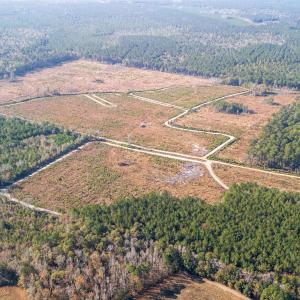 Photo #16 of Easler Hwy, Greeleyville, SC 178.0 acres