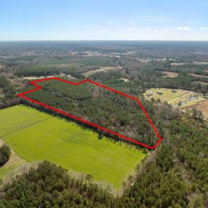 Photo #7 of TBD - Lot 2 Daphane Dr., Loris, SC 6.9 acres