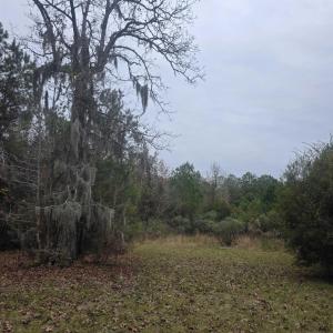 Photo #7 of 4339 Randall Rd., Conway, SC 3.5 acres