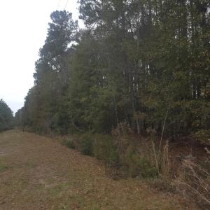 Photo #3 of 4339 Randall Rd., Conway, SC 3.5 acres