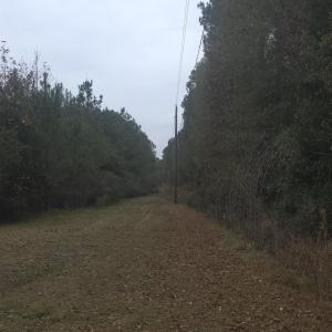Photo #1 of 4339 Randall Rd., Conway, SC 3.5 acres