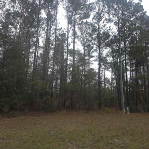 Photo #2 of 4339 Randall Rd., Conway, SC 3.5 acres