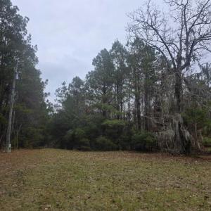 Photo #4 of 4339 Randall Rd., Conway, SC 3.5 acres