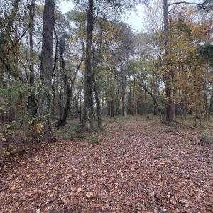 Photo #17 of Lot 34 Old Augusta Dr., Pawleys Island, SC 0.7 acres