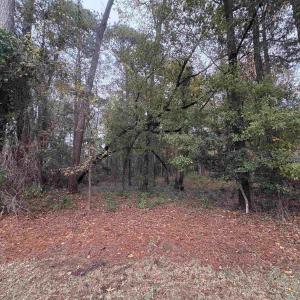 Photo #3 of Lot 34 Old Augusta Dr., Pawleys Island, SC 0.7 acres
