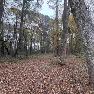 Photo #4 of Lot 34 Old Augusta Dr., Pawleys Island, SC 0.7 acres