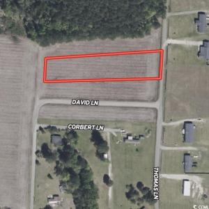 Photo #4 of TBD Thomas Dr., Kingstree, SC 1.1 acres
