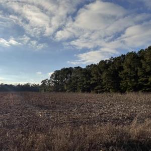 Photo #3 of TBD Thomas Dr., Kingstree, SC 1.1 acres