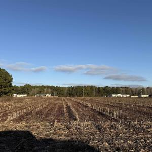 Photo #1 of TBD Thomas Dr., Kingstree, SC 1.1 acres