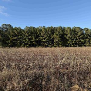 Photo #2 of TBD Thomas Dr., Kingstree, SC 1.1 acres